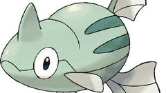 Background Anime Pokemon black