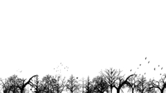 Background here ya go