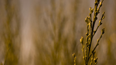 Background high Resolution