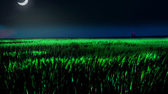 Background Made This one