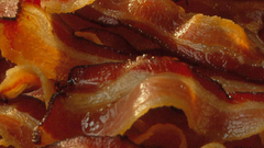 Bacon