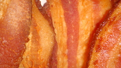 Bacon