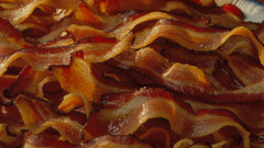 Bacon