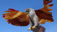 Bacon Hawk hawks