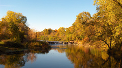 Bad about The relatively