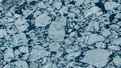 Baffin ice water thaw