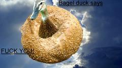 Bagel duck makes great