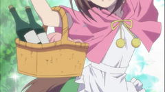 Baka to test shoukanjuu