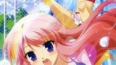 Baka to test to shoukanjuu himeji mizuki Shimada Minami