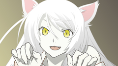 Bakemonogatari animal ears hanekawa