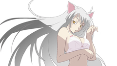Bakemonogatari animal ears hanekawa