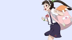 Bakemonogatari hachikuji mayoi