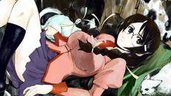 Bakemonogatari hanekawa tsubasa