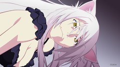 Bakemonogatari hanekawa tsubasa animal ears monogatari-series 