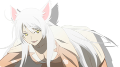 Bakemonogatari hanekawa tsubasa Anime