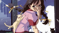 Bakemonogatari hanekawa tsubasa meganekko