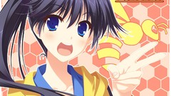 Bakemonogatari nisemonogatari araragi karen