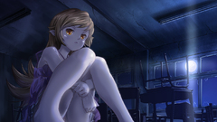 Bakemonogatari oshino shinobu monogatari