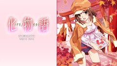 Bakemonogatari sengoku nadeko