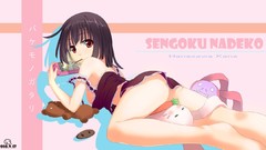 Bakemonogatari sengoku nadeko