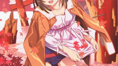 Bakemonogatari sengoku nadeko Anime