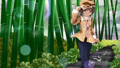 Bakemonogatari sengoku nadeko monogatari