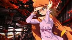 Bakemonogatari sengoku nadeko monogatari