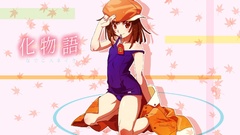 Bakemonogatari sengoku nadeko school