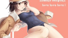 Bakemonogatari sengoku nadeko school