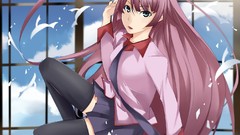 Bakemonogatari senjougahara hitagi