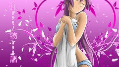 Bakemonogatari senjougahara hitagi