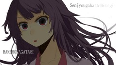 Bakemonogatari senjougahara hitagi
