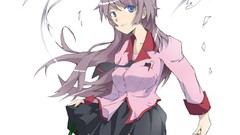 Bakemonogatari senjougahara hitagi