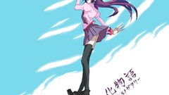 Bakemonogatari senjougahara hitagi