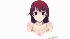 Bakemonogatari senjougahara hitagi