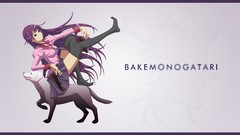 Bakemonogatari senjougahara hitagi anime