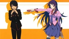 Bakemonogatari senjougahara hitagi araragi koyomi