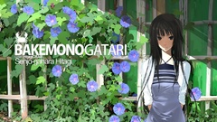 Bakemonogatari senjougahara hitagi monogatari