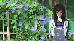 Bakemonogatari senjougahara hitagi monogatari