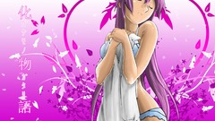 Bakemonogatari senjougahara hitagi monogatari