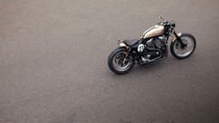 Bald terrier choppers motorbikes deus