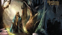 Baldurs Gate Druid