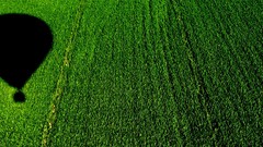 Balloons fields shadows