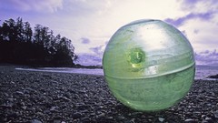 Balls British Columbia still life