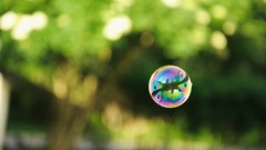 Balls bubbles soap close-up colors iridescence