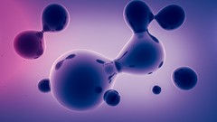 Balls colors 3d cinema 4d 3D renders