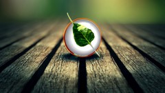 Balls Linux floor Bodhi Linux