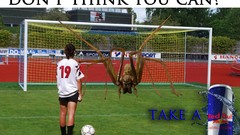 Balls spiders Red Bull soccer