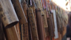 Bamboo Asia Taiwan Culture