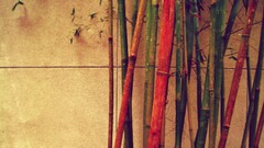 bamboo colorful Plants wall
